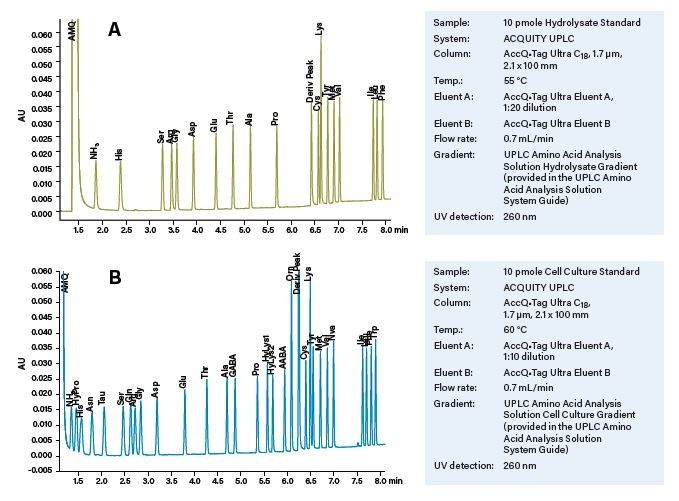 Abbildung 13. Repräsentative Chromatogramme von UPLC AccQ•Tag Lösungen. (A) Trennung von Standardaminosäuren mithilfe der Hydrolysat-Methode der UPLC-Aminosäureanalyselösung. (B) Trennung des größeren Satzes von Standardaminosäuren mithilfe der Zellkulturmethode der UPLC-Aminosäureanalyselösung. Es sind keine Modifikationen der mobilen Phase oder Zusammensetzung erforderlich.