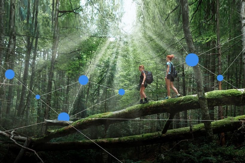 Hikers exploring the woodland