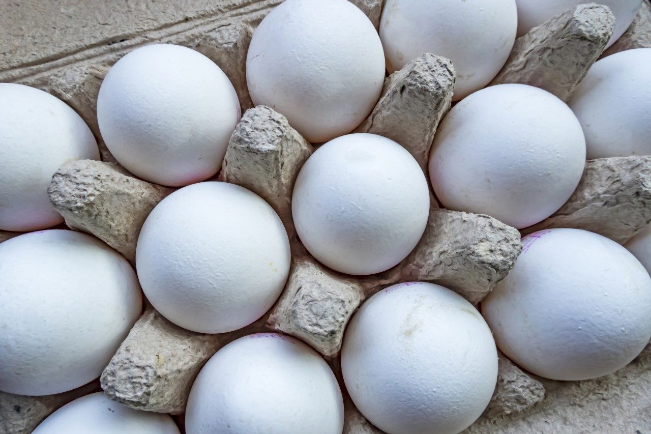 White chicken eggs in carton