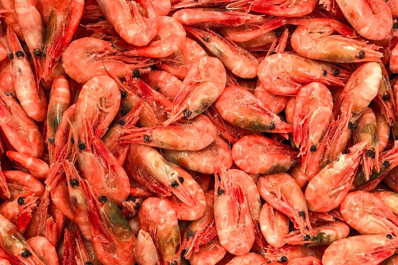 Shrimp or prawns in fish market