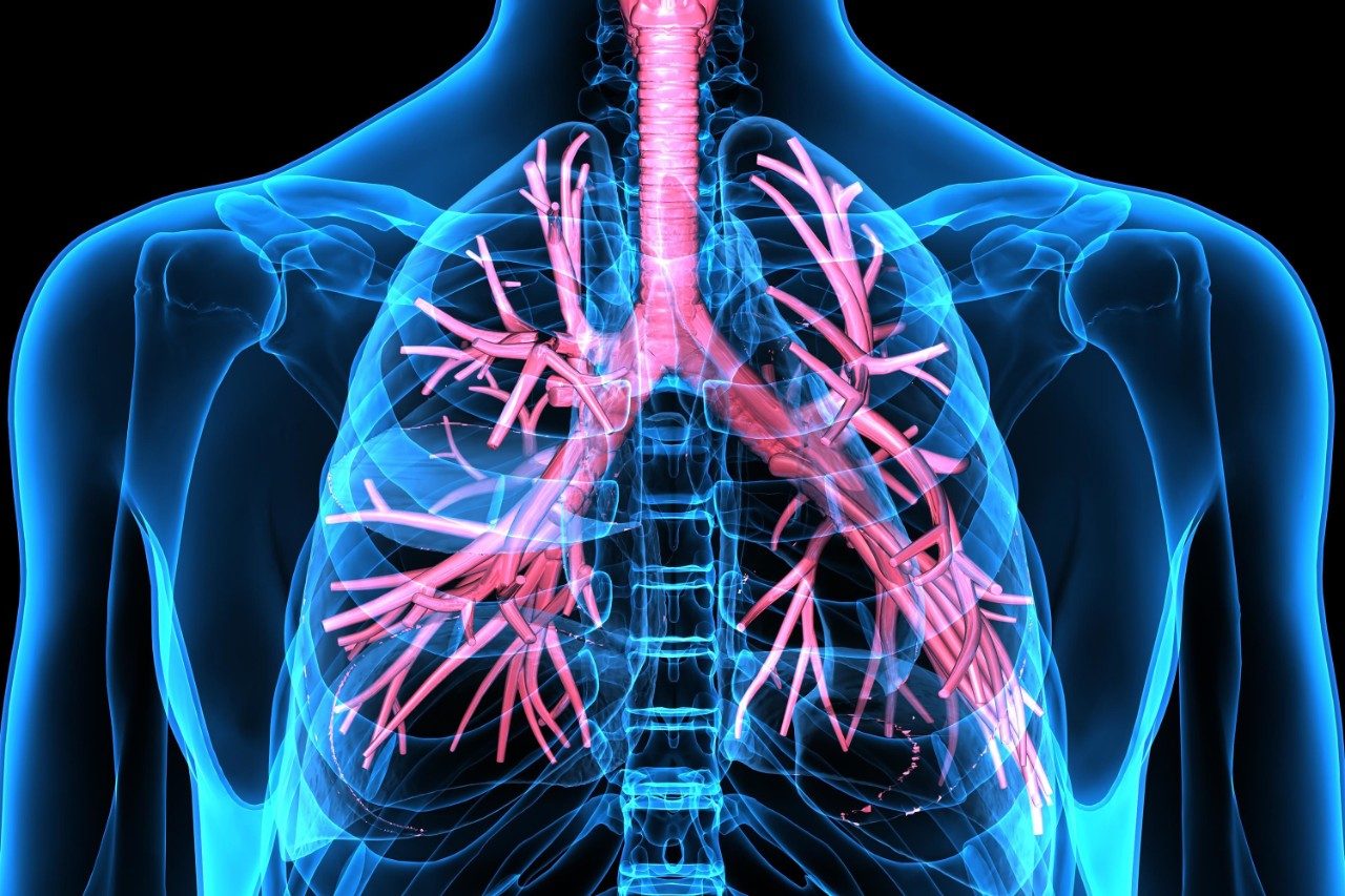 Respiratory disease