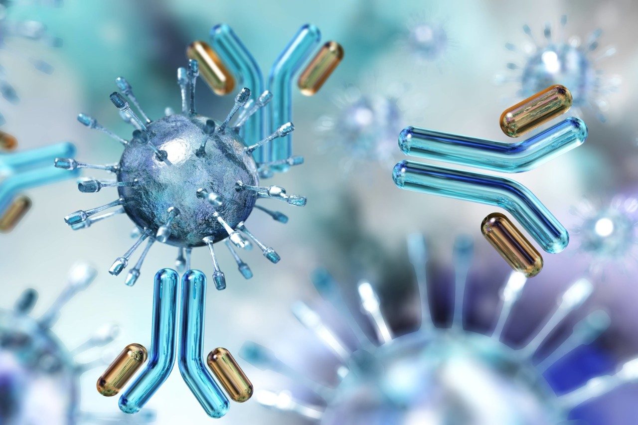 Virus and antibodies with peptides