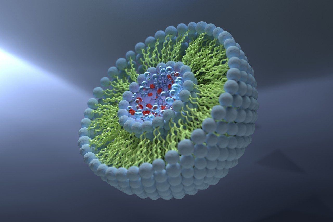 Structure of liposome, phospholipid, micelle