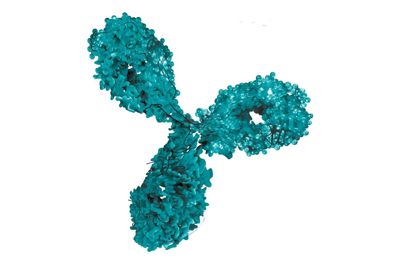 Monoclonal antibody blue green