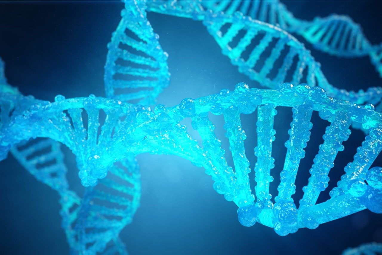 Helix DNA molecule with modified genes