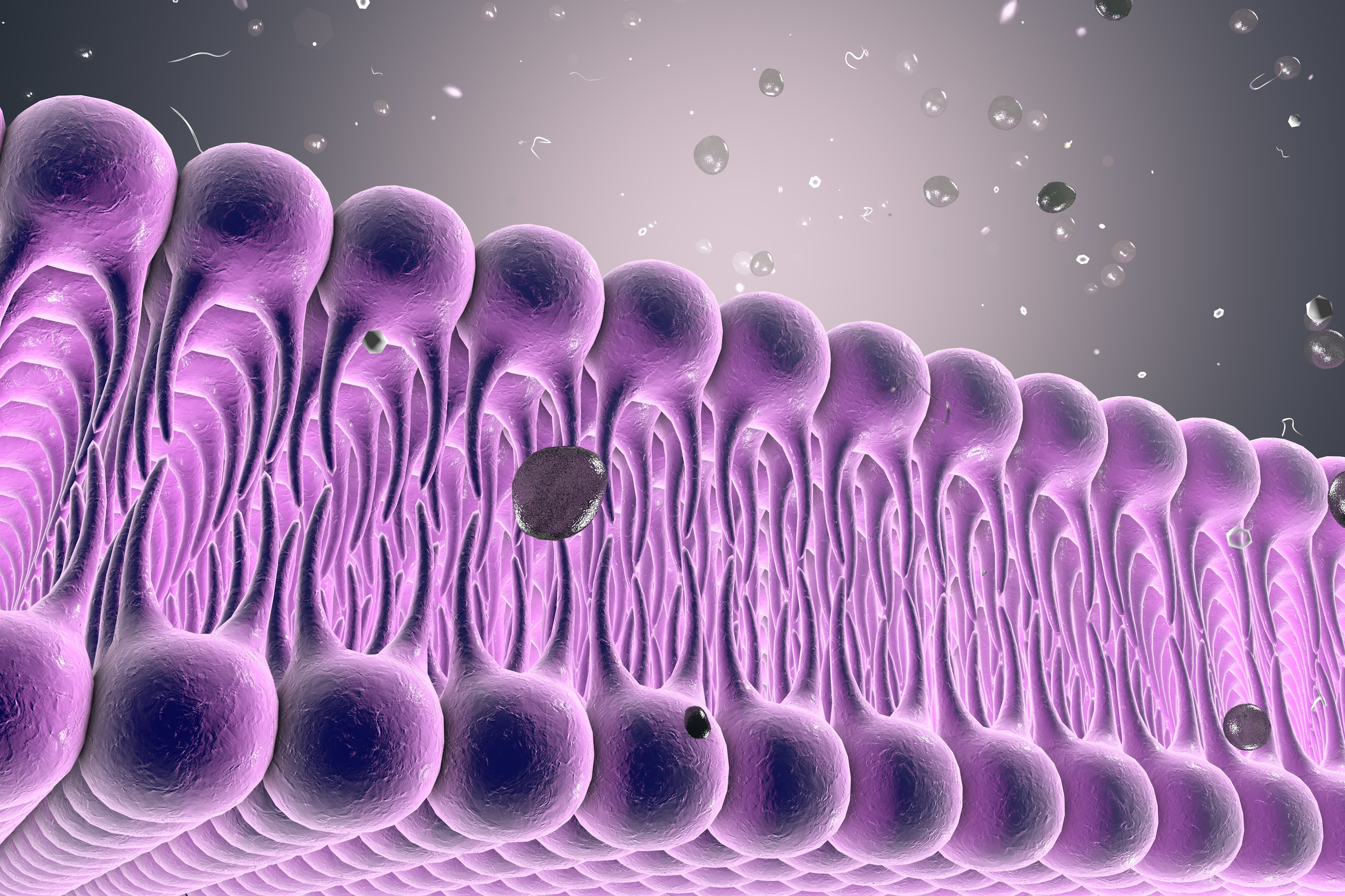 Cell membrane of a lipid bilayer