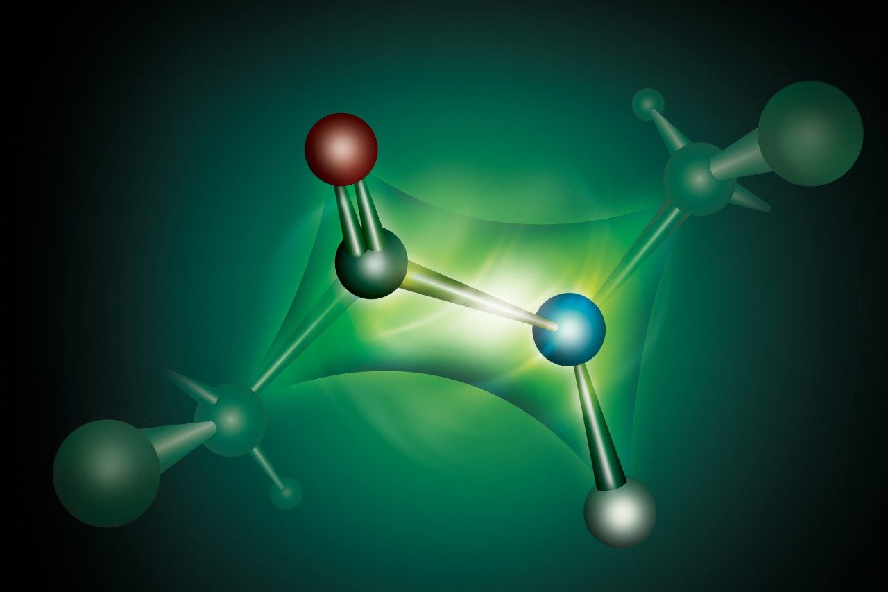 Peptide Mapping