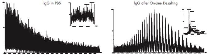 Desalting of monoclonal IgG