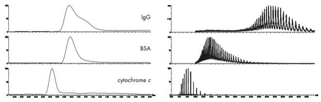 The chromatographic elution profile