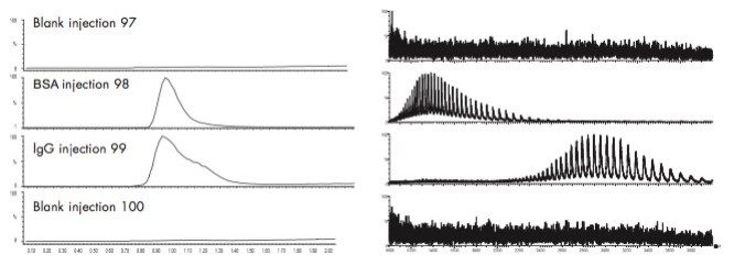 Chromatograms showing increasing injected mass of IgG