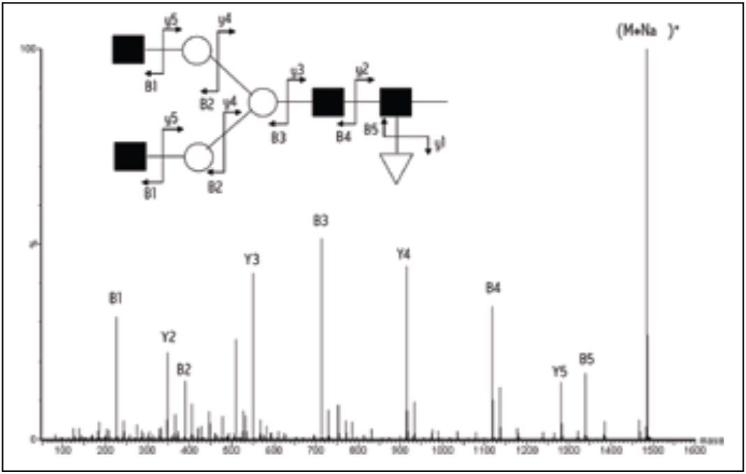 MALDI MS/MS of the sodiated non-glucosylated core glycan 