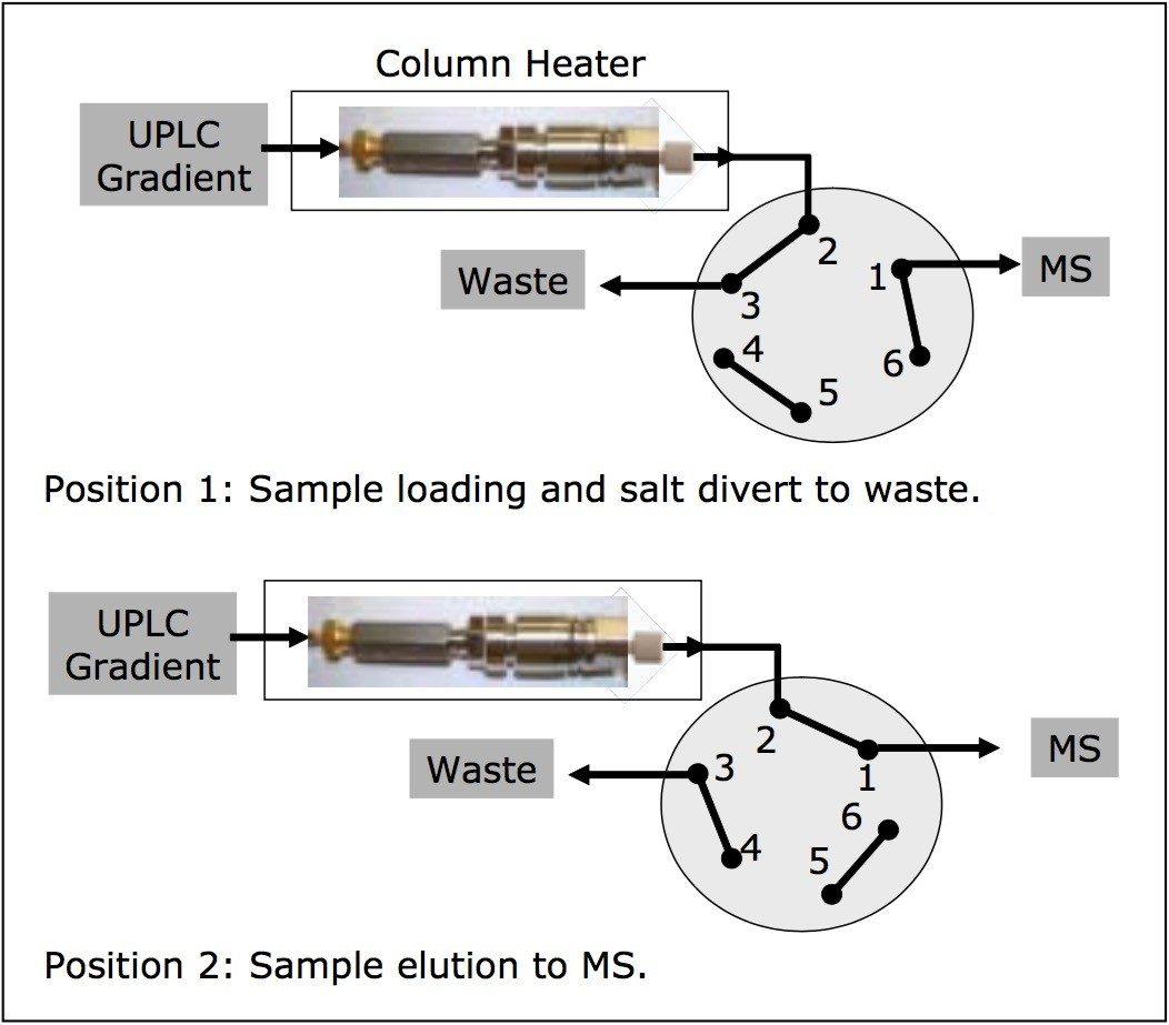 Fluidic configuration for LC-MS analysis