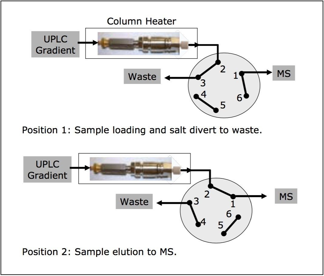 Fluidic configuration for LC-MS analysis