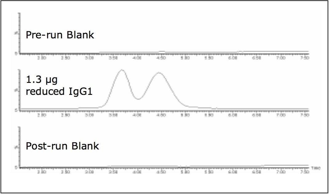 Total ion chromatograms