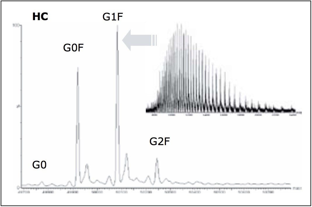 Combined mass spectrum