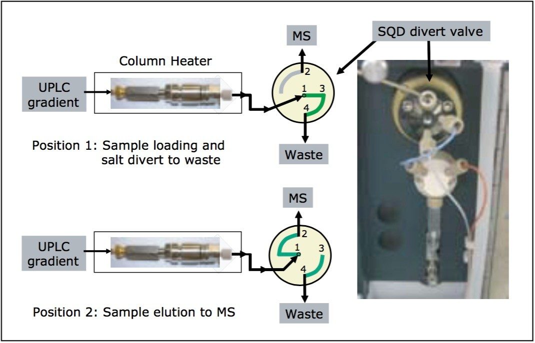 Fluidic configuration for LC-MS analysis