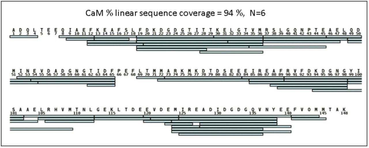 Calmodulin online pepsin digestion coverage map