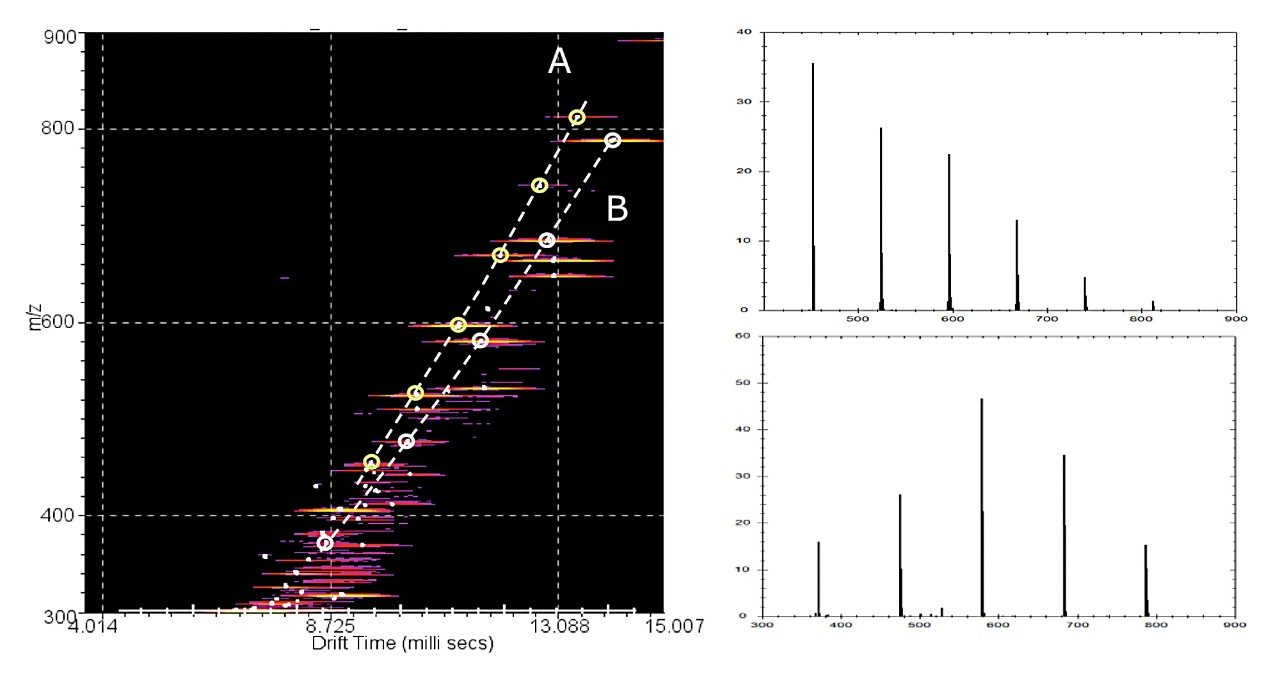 m/z versus DT plot