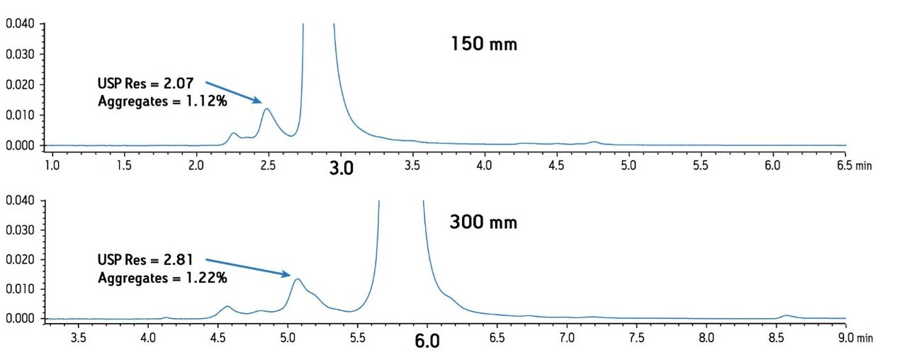 Effect of column length on a SEC separation of murine mAb.