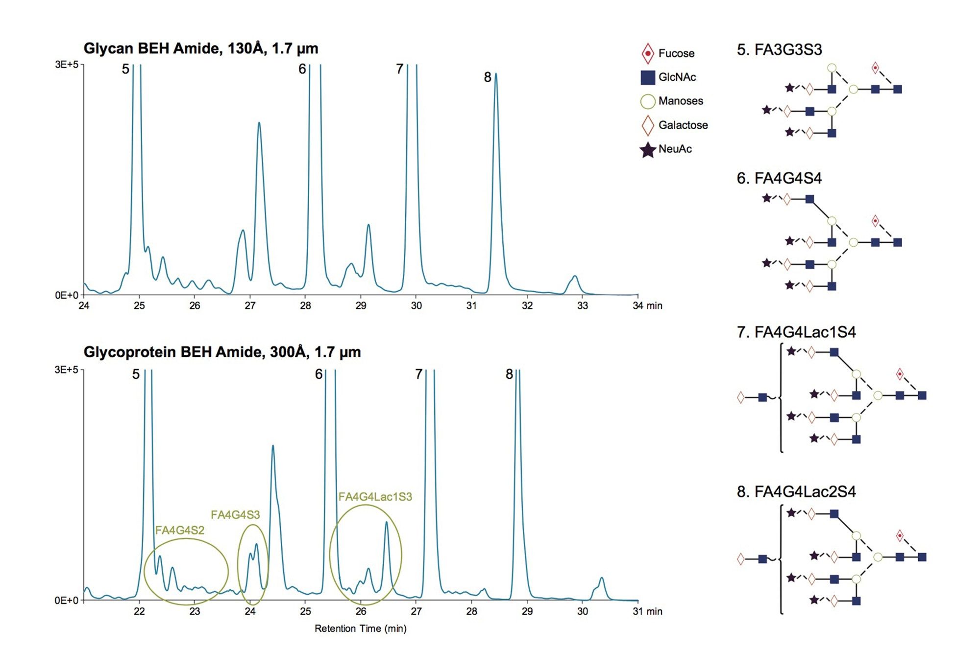 Glycan BEH Amide vs Glycoprotein BEH Amide