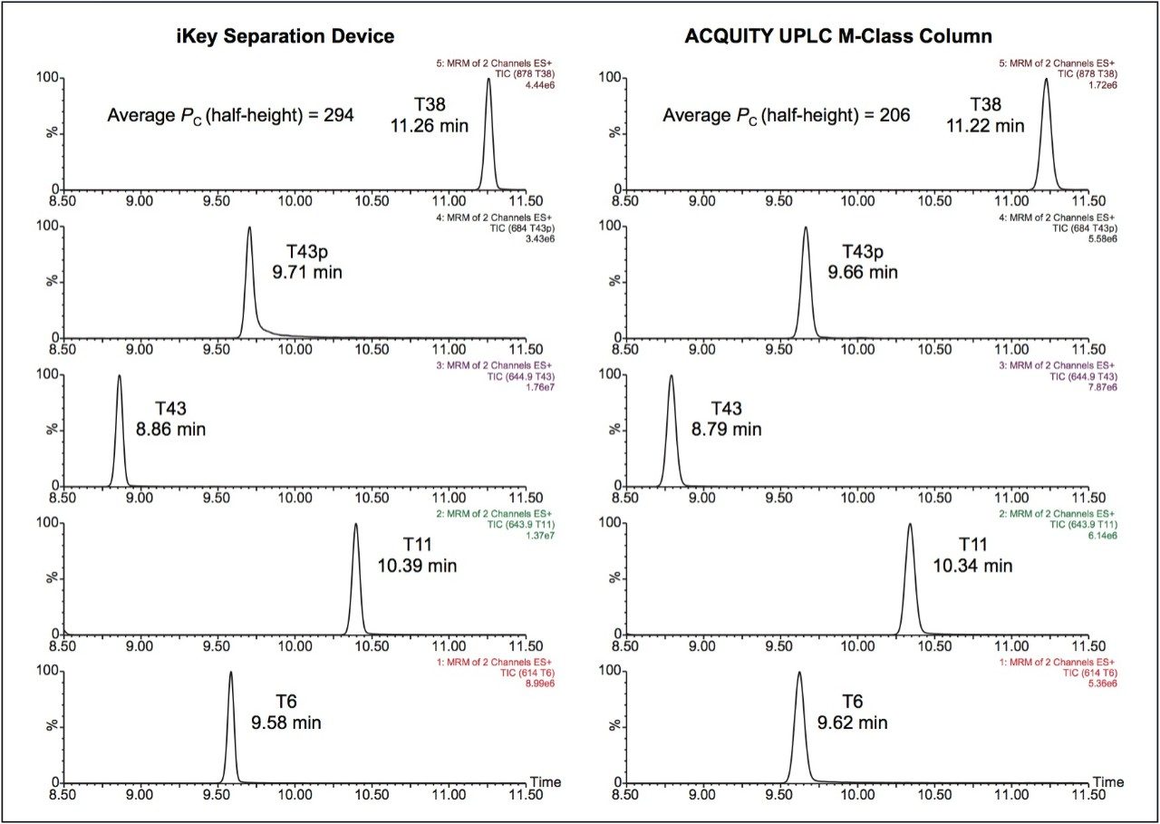 Typical chromatograms using an iKey Separation Device, and an ACQUITY UPLC M-Class Column