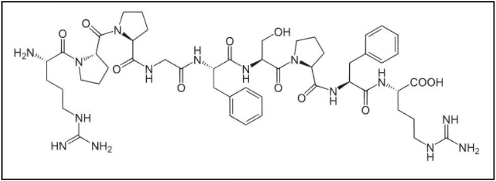 Representative structure and amino acid sequence of bradykinin