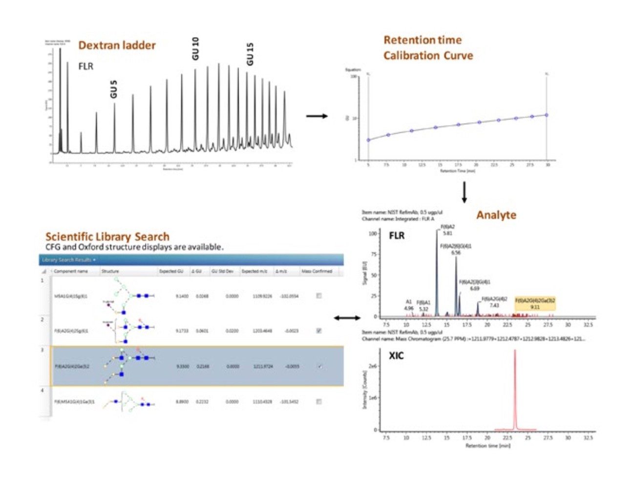 Workflow 1 – Glycan FLR with MS confirmation.