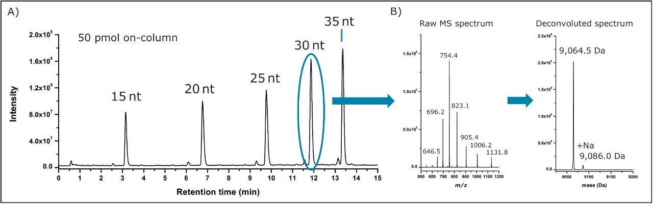 Oligonucleotide analysis with the ACQUITY QDa. 