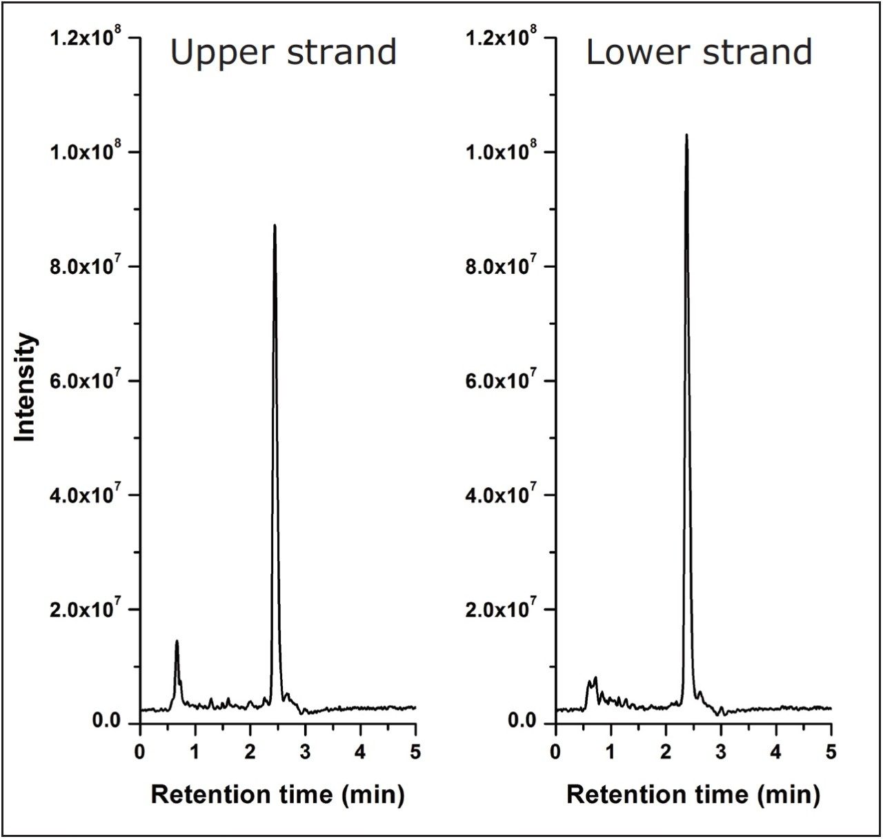  siRNA chromatogram