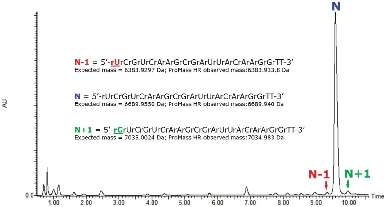 The TUV chromatogram of ssRNA sequence 5'-UCGUCAAGCGAUUACAAGGTT-3' with a double thymine overhang (upper strand of siRNA) shows good separation between the target sequence and the single base deletion (N-1) and single base insertion (N+1) forms using a ten minute LC gradient from 13% B to 23% B. 