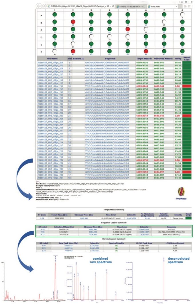 The top image is a high-level summary of batch-processed, experimental results using ProMass HR with MassLynx. Also shown, successive drill-down results for an individual sample, accessed through embedded HTML hyperlinks.