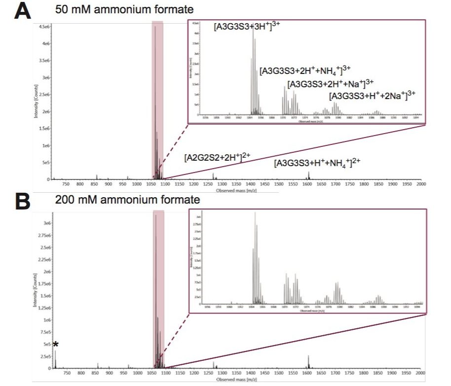 Comparing the quality of MS data as obtained with mobile phases of differing ionic strengths. 