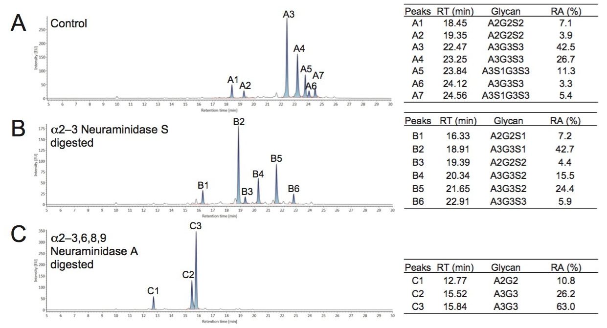 Fluorescence chromatograms were obtained for various preparations of the RapiFluor-MS Sialylated Glycan Performance Test Standard