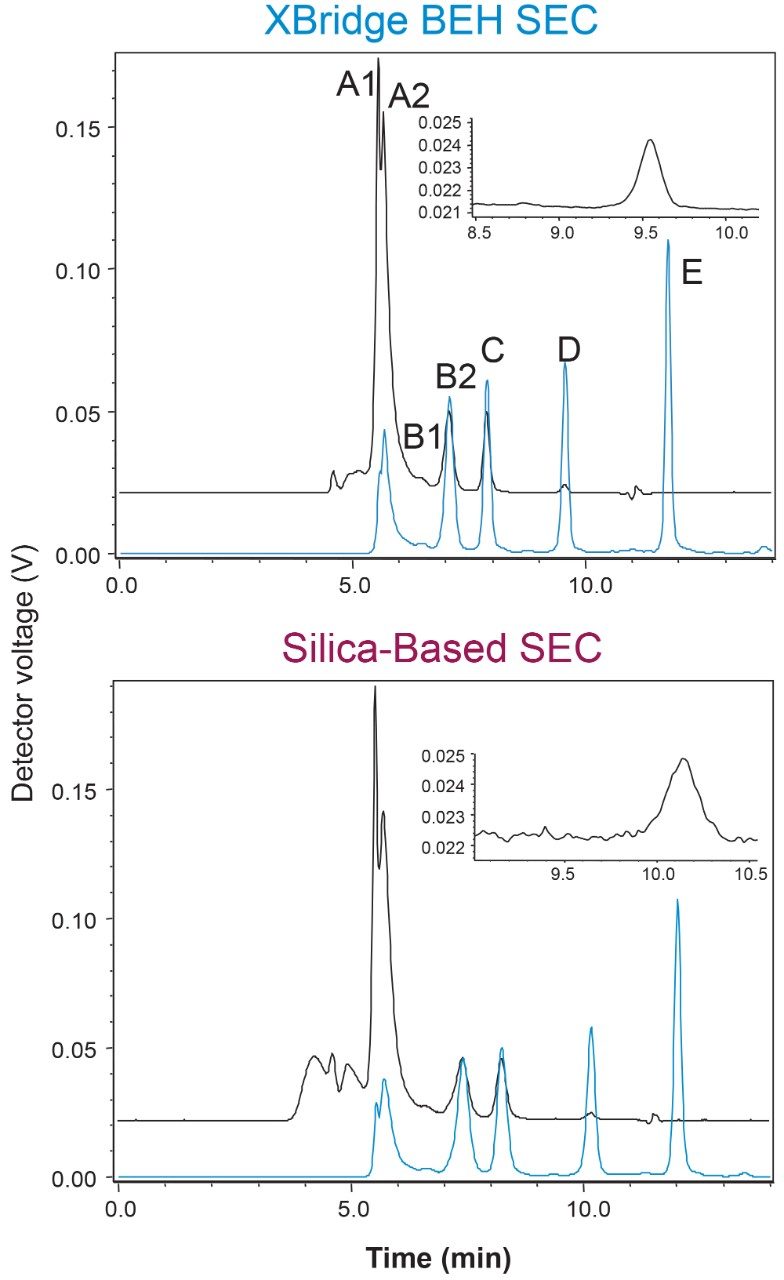 SEC-MALS chromatograms for the protein standard 