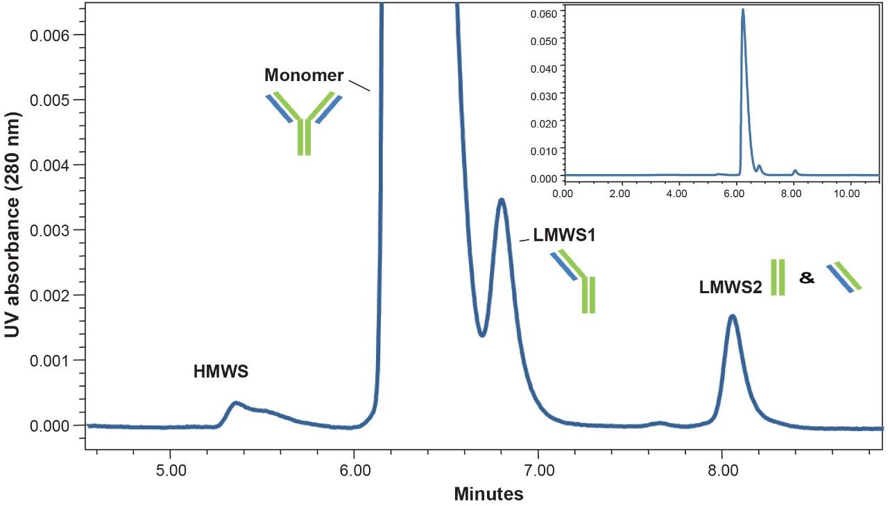 Sample chromatogram 