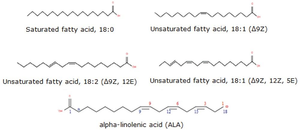 Structure and nomenclature of different straight chain fatty acids