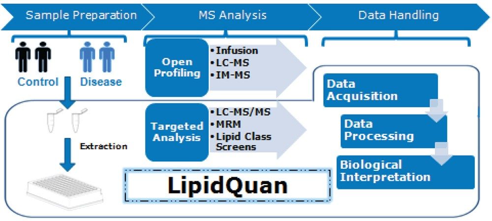 General lipidomics workflow 