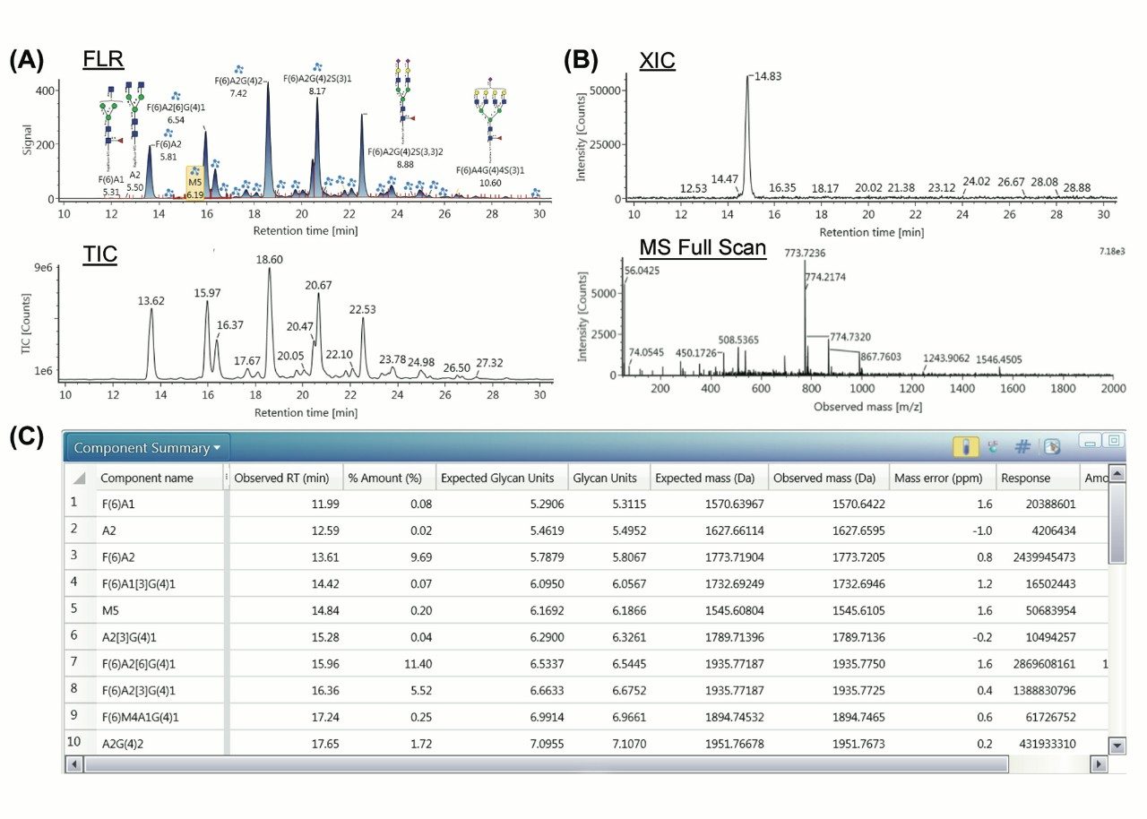 Analysis of N-linked glycans released from a fusion protein, abatacept.