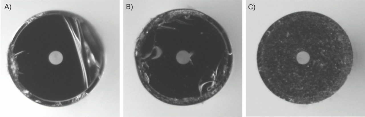 Representative microscopic images of capillary cross sections. 