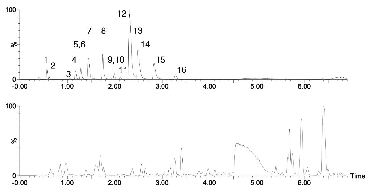 Separation of urinary metabolites on an ACQUITY PREMIER CSH Phenyl-Hexyl Column.