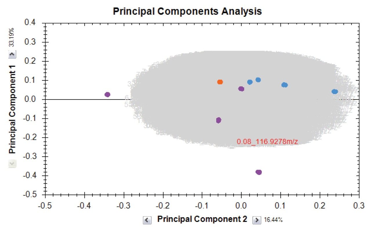 PCA scores plot of the study.