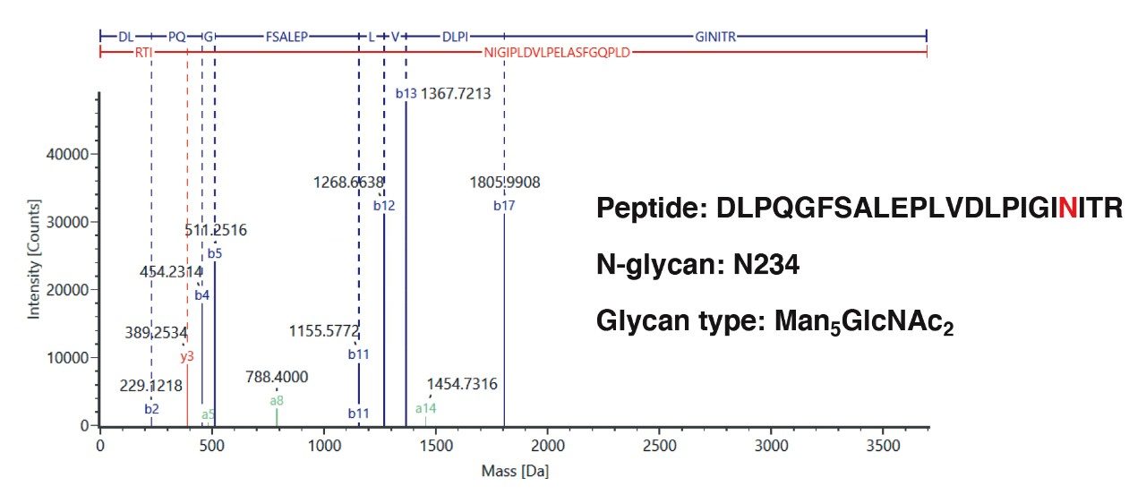 The assignment of one N-glycopeptide at site N234 