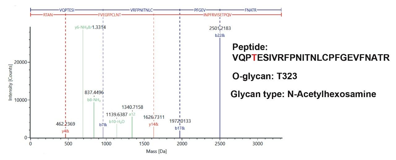 The assignment of one O-glycopeptide at site T323 