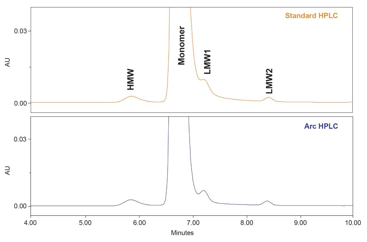 SEC chromatograms for trastuzumab 