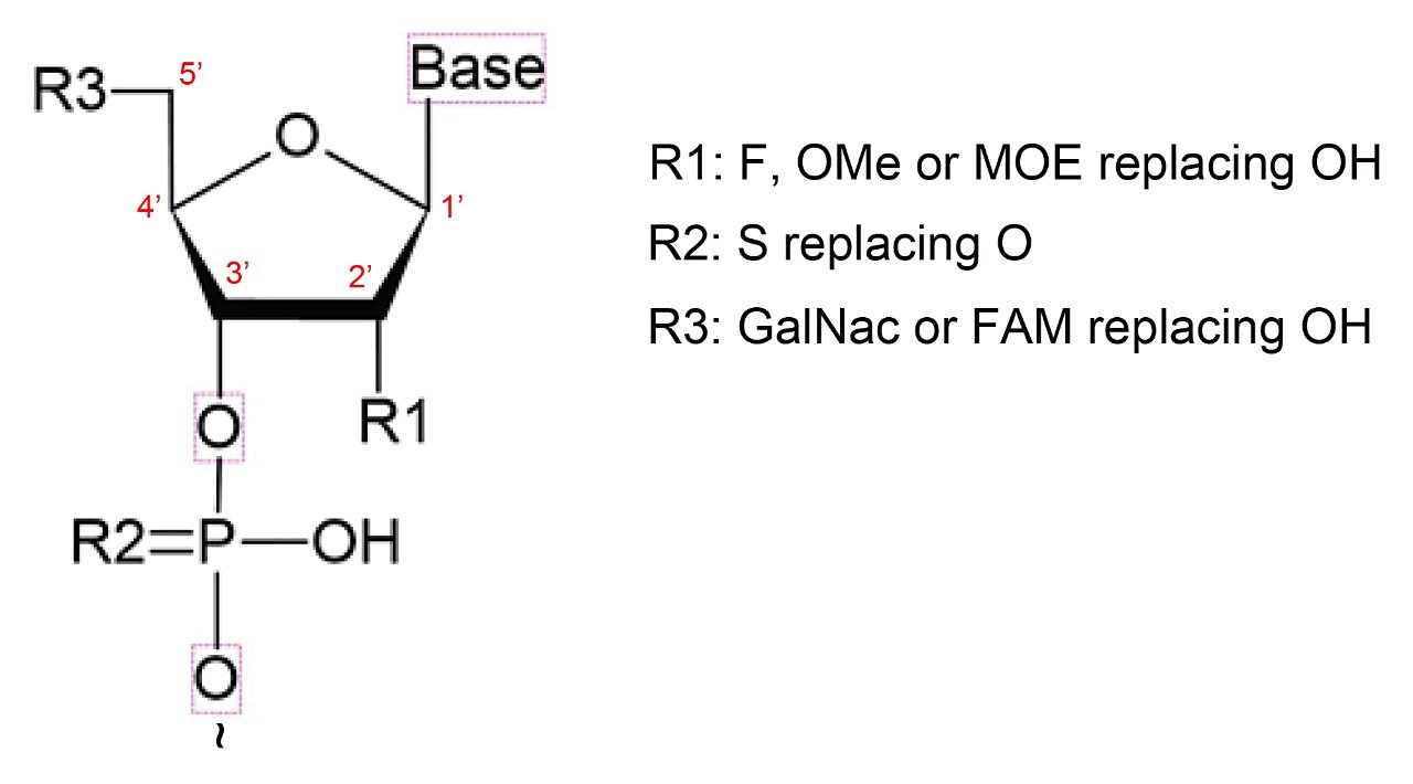 Oligonucleotide chemical structure.