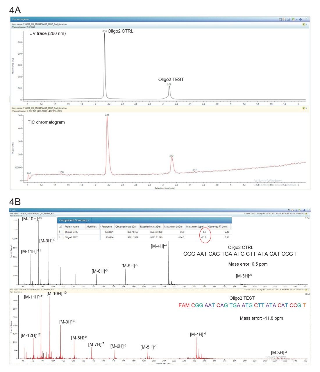  (A) TUV and TIC chromatograms showing the separation of the Oligo2 oligonucleotides; (B) ESI-MS spectra.