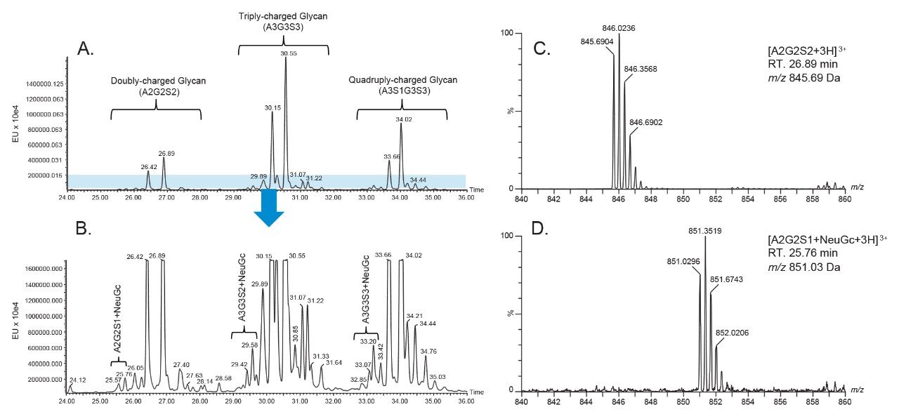 Figure 2. Improved resolution of acidic glycan structure variants with mixed mode separation.  A.) FLR profile of RFMS-labeled Glycans from Fetuin. B.) Zoom-in view of (A), with additional separation of NeuGc versus NeuAc Glycan Species. Structural assignment of Glycans were based on MS spectra of each species. C.) MS spectrum of A2G2S2. (S indicates the NeuAc) D.) MS spectrum of A2G2S1+NeuGc.