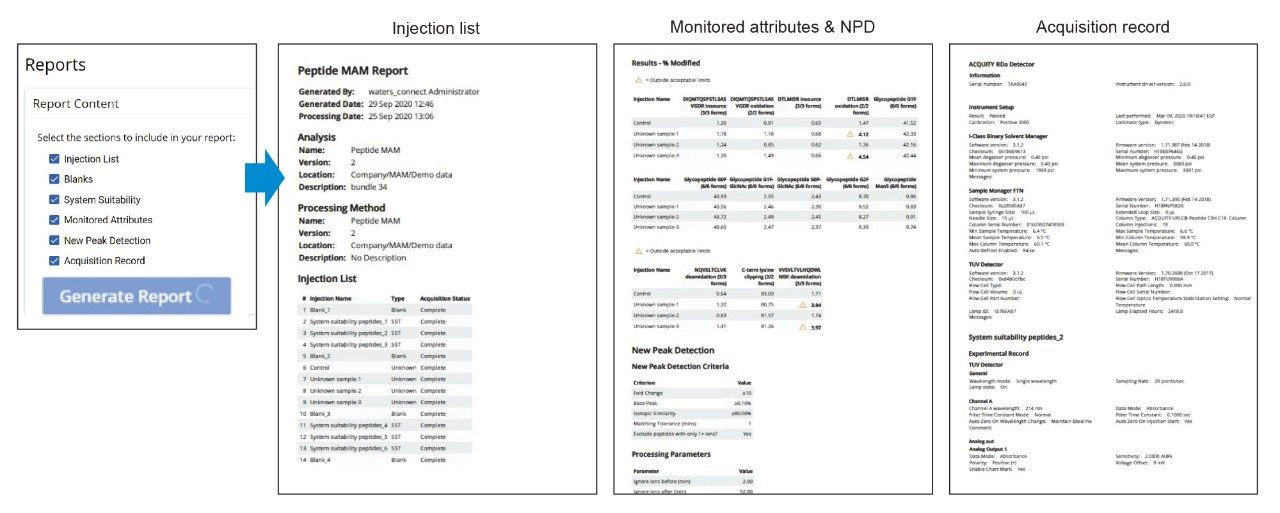 Selectable report template chapters.