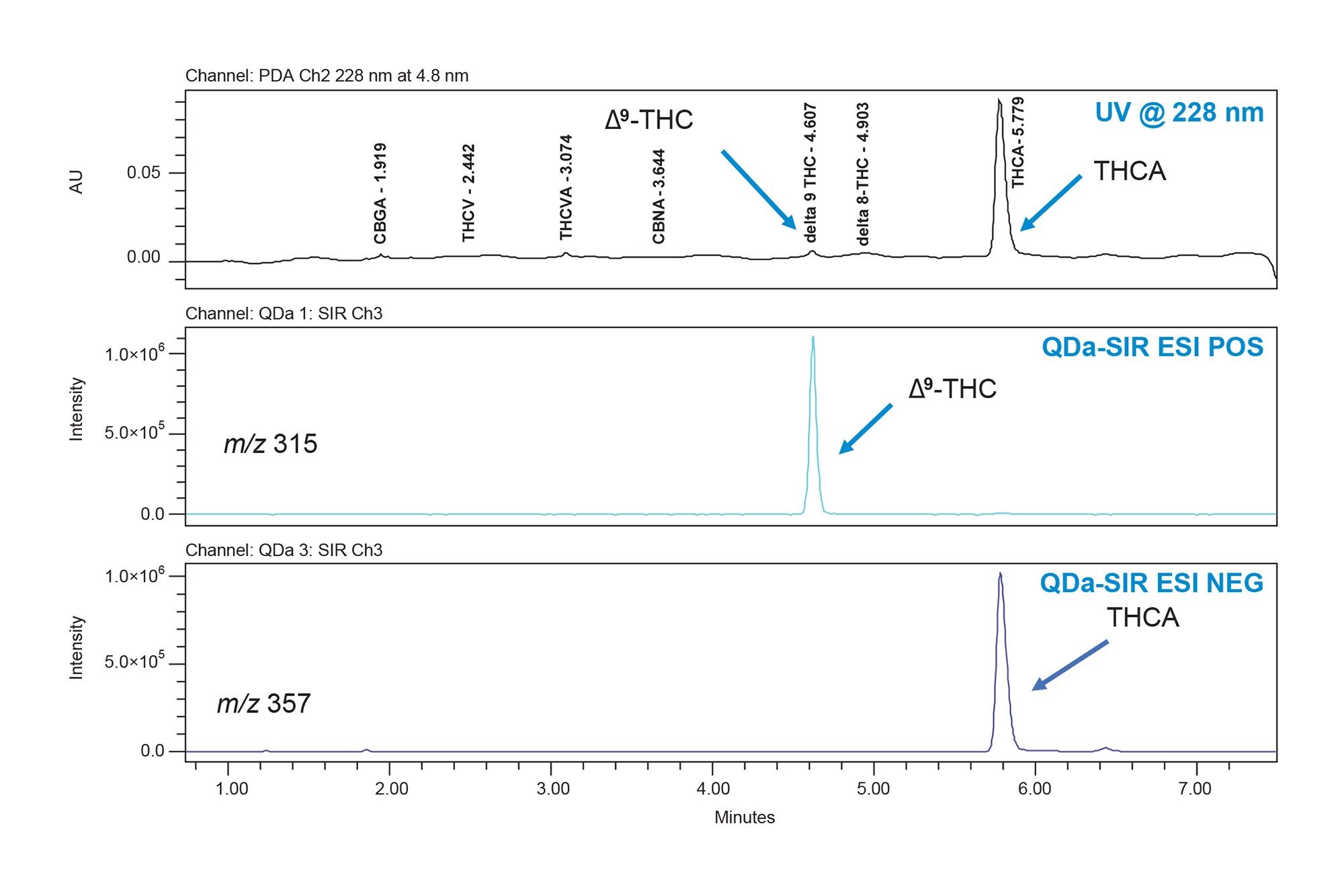 高 Δ9-THC 含量品種の花のサンプルの分析で得られたクロマトグラム。228 nm の UV と、m/z 315 および m/z 357 の SIR を用いています。MS 分析により、サンプル中の Δ9-THC の同定の信頼性が高まりました。