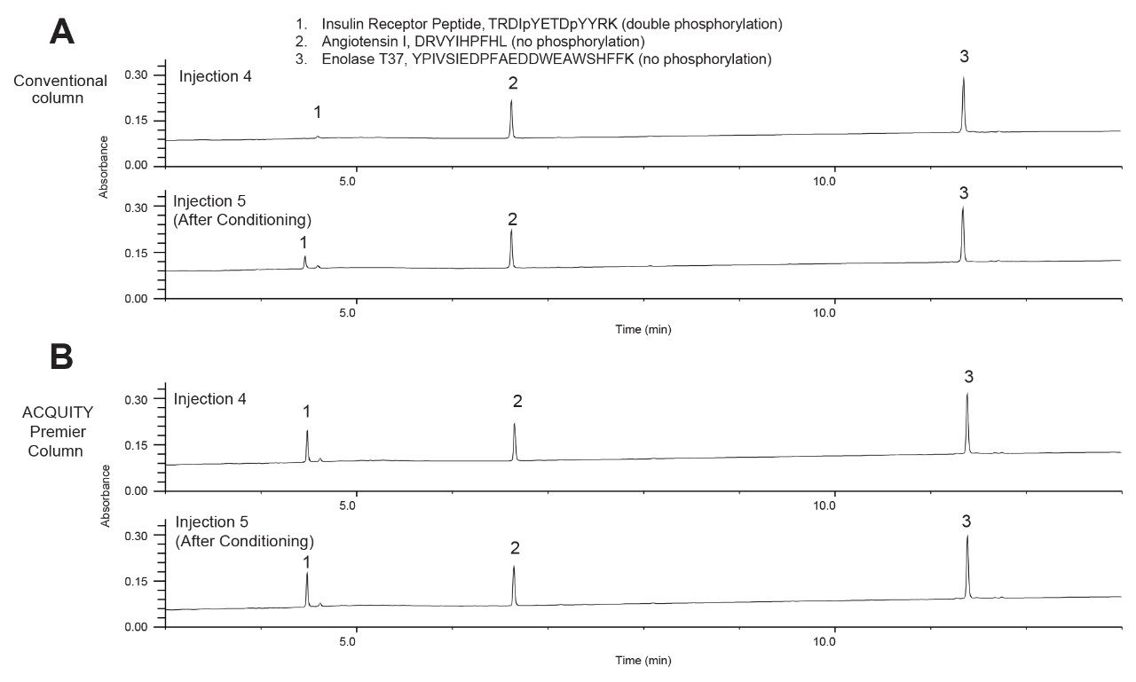 UV chromatograms resulting from the fourth and fifth injections immediately after high mass load column conditioning